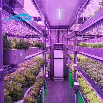 Skyplant augalų augimo bakas LED spektras reguliuojamas konteinerio tipas Hidroponinė žaliųjų pašarų daiginimo mašina