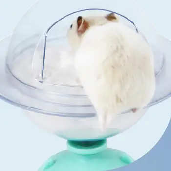 Žiurkėno kasimas Smėlis Panoraminė žiurkėno vonia nuimamas skaidrus žiurkėno vonios narvas Priedai lengvam smėlio maudymuisi mažas