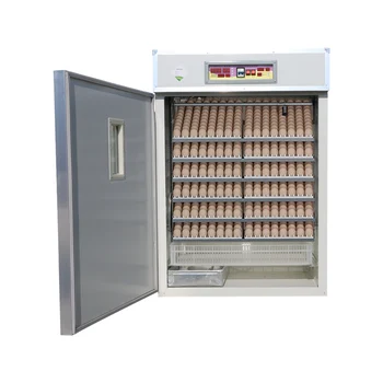 Karštas pardavimas 1056 vištienos kiaušinių perinti skirta mašina komercinis inkubatorius visiškai automatinis