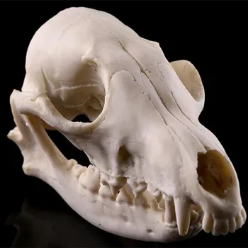 Lapės kaulų modelio dervos amatai Skeleto galvutės rekvizitai Individualizuoti papuošalai